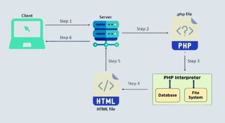 What is PHP?